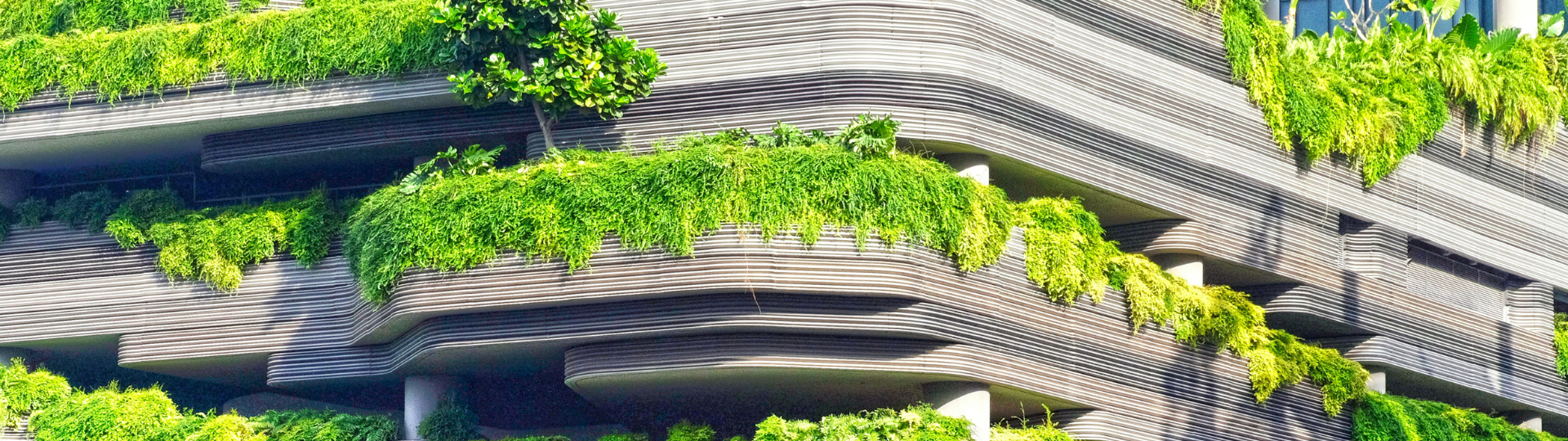 Intelligent Design How Thoughtful Architecture Improves Business Performance written by Esse Architects